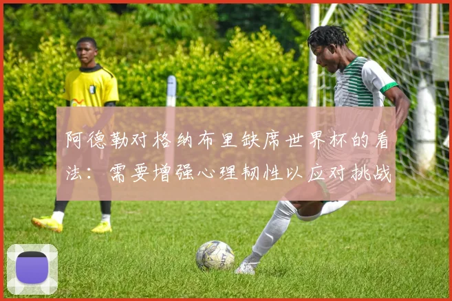 阿德勒对格纳布里缺席世界杯的看法：需要增强心理韧性以应对挑战