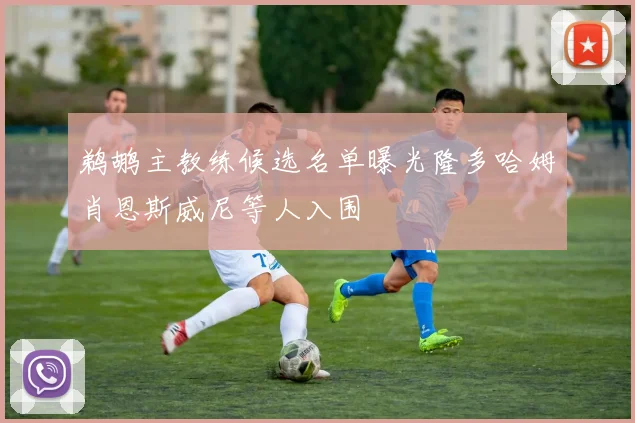鹈鹕主教练候选名单曝光隆多哈姆肖恩斯威尼等人入围